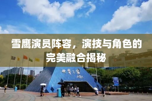 雪鹰演员阵容，演技与角色的完美融合揭秘