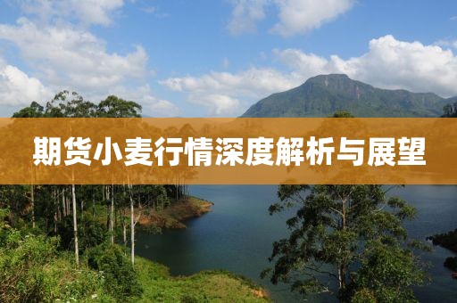 期货小麦行情深度解析与展望