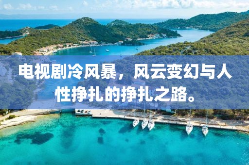 电视剧冷风暴，风云变幻与人性挣扎的挣扎之路。