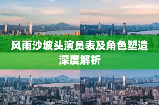 风雨沙坡头演员表及角色塑造深度解析