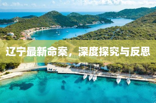 辽宁最新命案，深度探究与反思