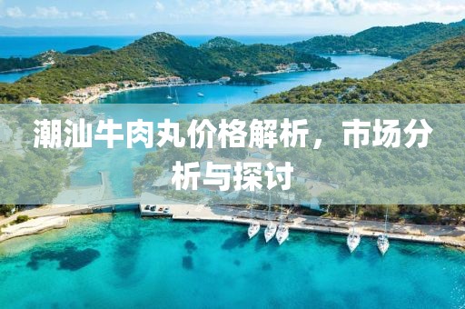 潮汕牛肉丸价格解析，市场分析与探讨