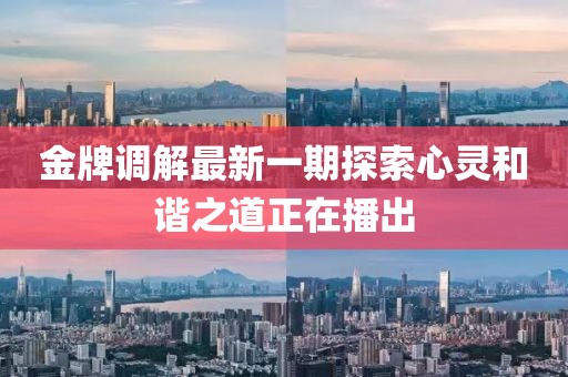 金牌调解最新一期探索心灵和谐之道正在播出