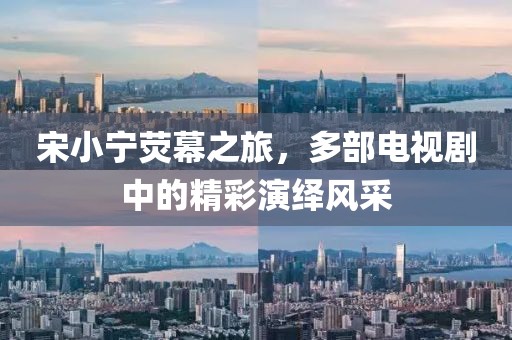 宋小宁荧幕之旅，多部电视剧中的精彩演绎风采