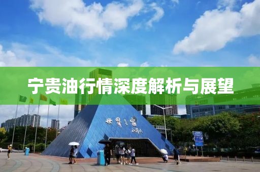 宁贵油行情深度解析与展望
