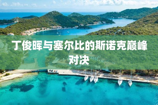 丁俊晖与塞尔比的斯诺克巅峰对决