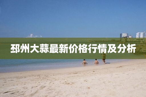 邳州大蒜最新价格行情及分析