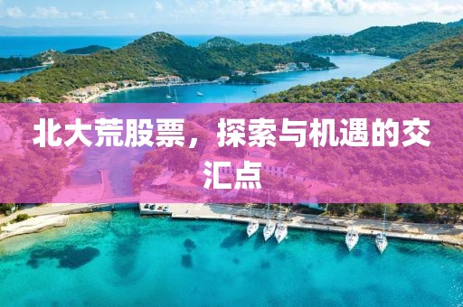 北大荒股票，探索与机遇的交汇点