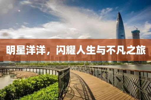 明星洋洋，闪耀人生与不凡之旅