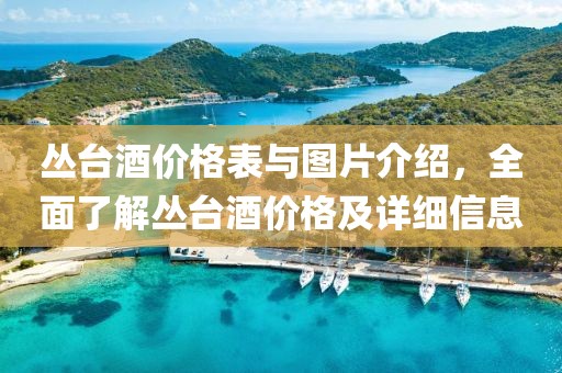 丛台酒价格表与图片介绍，全面了解丛台酒价格及详细信息