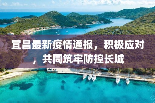 宜昌最新疫情通报，积极应对，共同筑牢防控长城