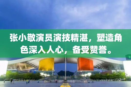 张小敬演员演技精湛，塑造角色深入人心，备受赞誉。