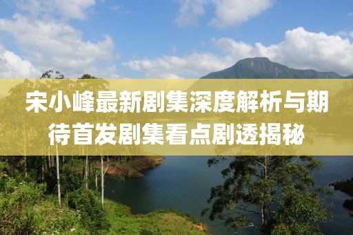宋小峰最新剧集深度解析与期待首发剧集看点剧透揭秘