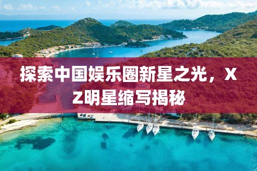 探索中国娱乐圈新星之光，XZ明星缩写揭秘