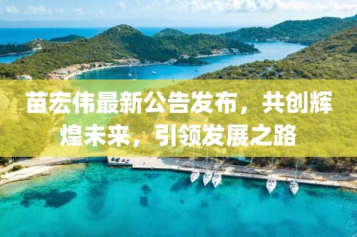 苗宏伟最新公告发布，共创辉煌未来，引领发展之路
