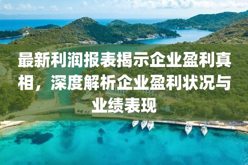 最新利润报表揭示企业盈利真相，深度解析企业盈利状况与业绩表现