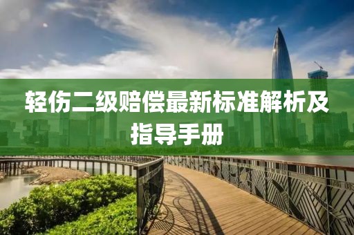 轻伤二级赔偿最新标准解析及指导手册