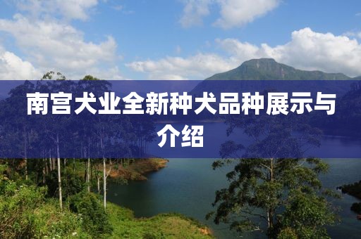 2025年1月 第15页