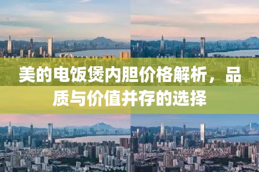 美的电饭煲内胆价格解析，品质与价值并存的选择