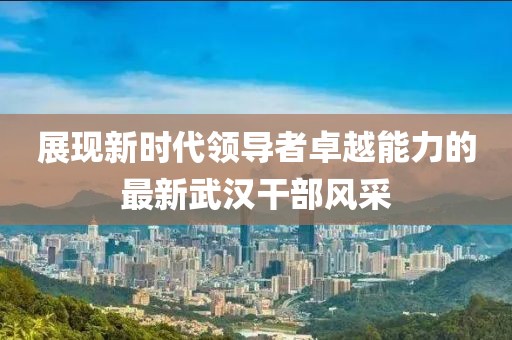 展现新时代领导者卓越能力的最新武汉干部风采