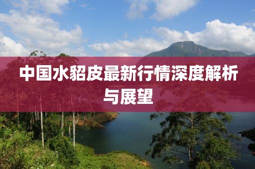中国水貂皮最新行情深度解析与展望