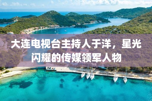 大连电视台主持人于洋，星光闪耀的传媒领军人物
