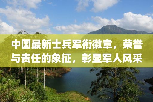 中国最新士兵军衔徽章，荣誉与责任的象征，彰显军人风采