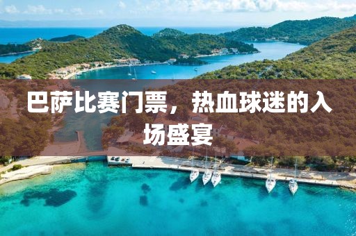 巴萨比赛门票，热血球迷的入场盛宴