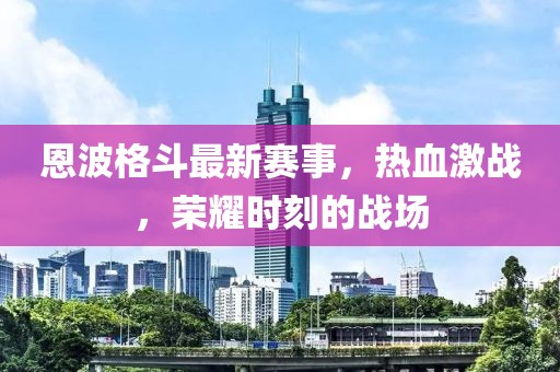 恩波格斗最新赛事，热血激战，荣耀时刻的战场