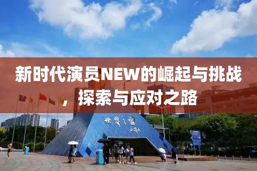 新时代演员NEW的崛起与挑战，探索与应对之路