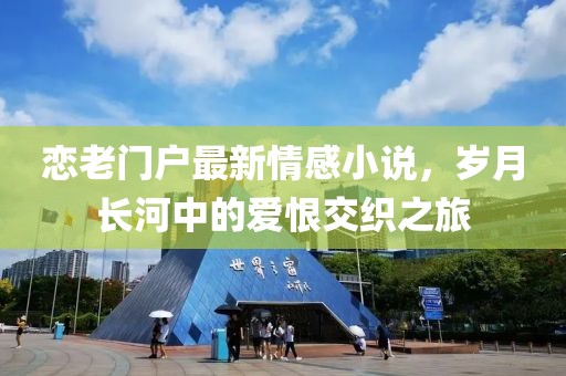 恋老门户最新情感小说，岁月长河中的爱恨交织之旅