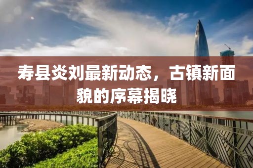 将回忆 第11页