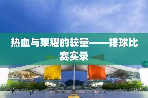 热血与荣耀的较量——排球比赛实录