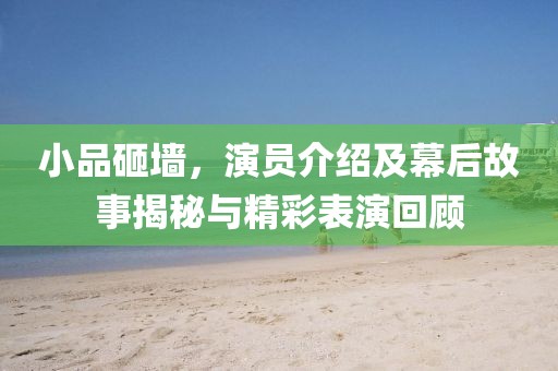 小品砸墙，演员介绍及幕后故事揭秘与精彩表演回顾