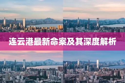 连云港最新命案及其深度解析