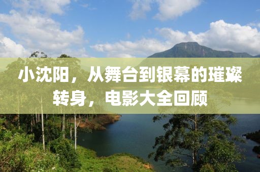 小沈阳，从舞台到银幕的璀璨转身，电影大全回顾