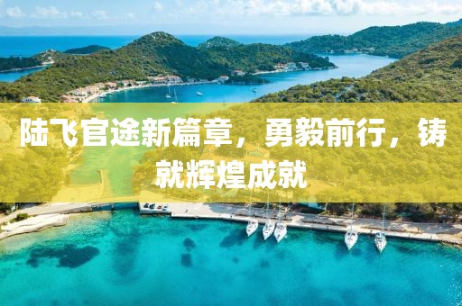 陆飞官途新篇章，勇毅前行，铸就辉煌成就