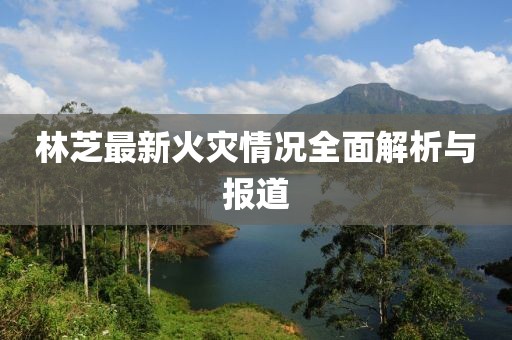 铁血军魂 第8页