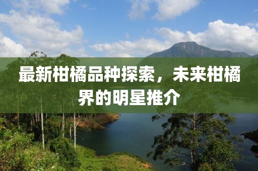 最新柑橘品种探索，未来柑橘界的明星推介