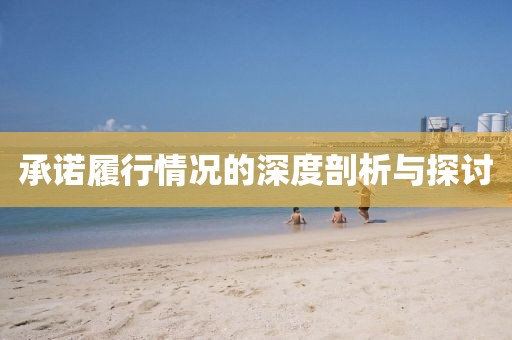 承诺履行情况的深度剖析与探讨