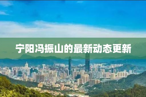 宁阳冯振山的最新动态更新