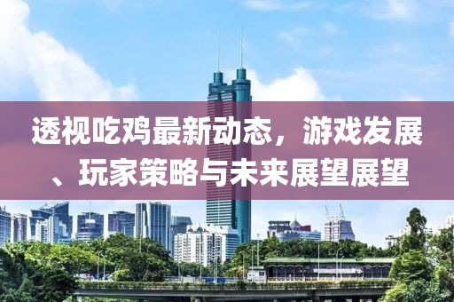 透视吃鸡最新动态，游戏发展、玩家策略与未来展望展望