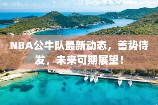 NBA公牛队最新动态，蓄势待发，未来可期展望！