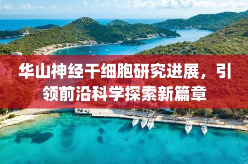 华山神经干细胞研究进展，引领前沿科学探索新篇章