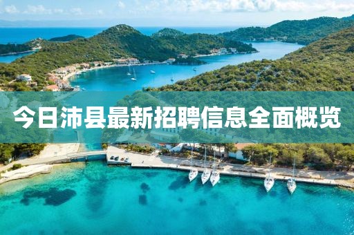 今日沛县最新招聘信息全面概览