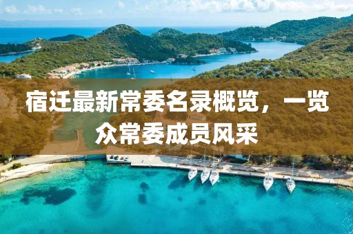宿迁最新常委名录概览，一览众常委成员风采
