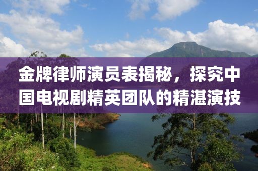 金牌律师演员表揭秘，探究中国电视剧精英团队的精湛演技