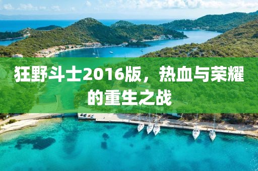 狂野斗士2016版，热血与荣耀的重生之战