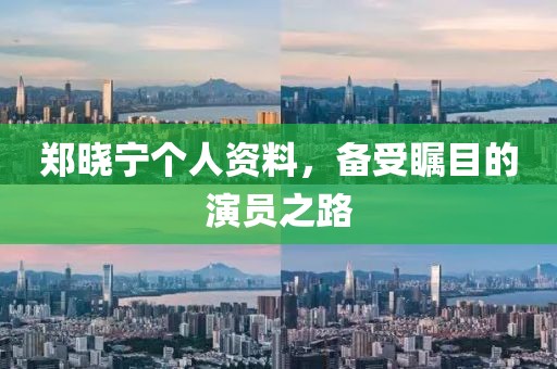 郑晓宁个人资料，备受瞩目的演员之路