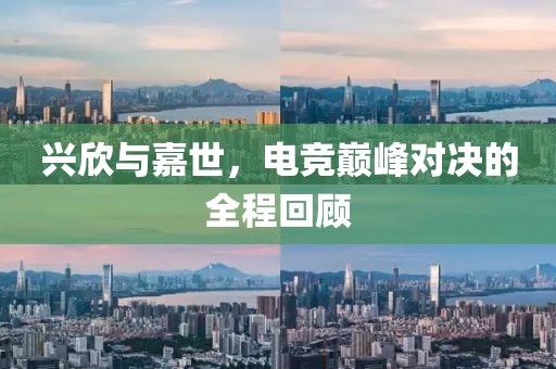 兴欣与嘉世，电竞巅峰对决的全程回顾